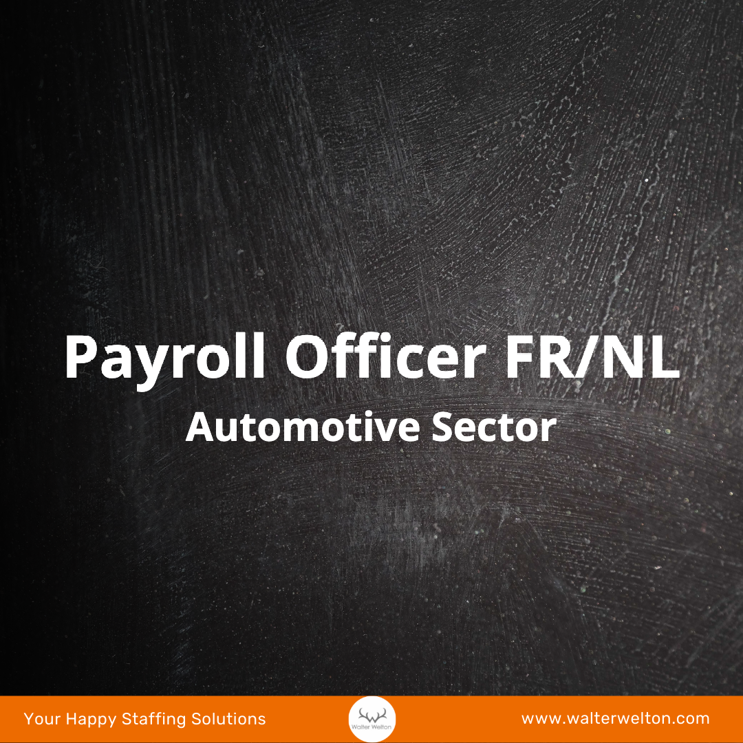 Payroll Officer - Automotive Sector