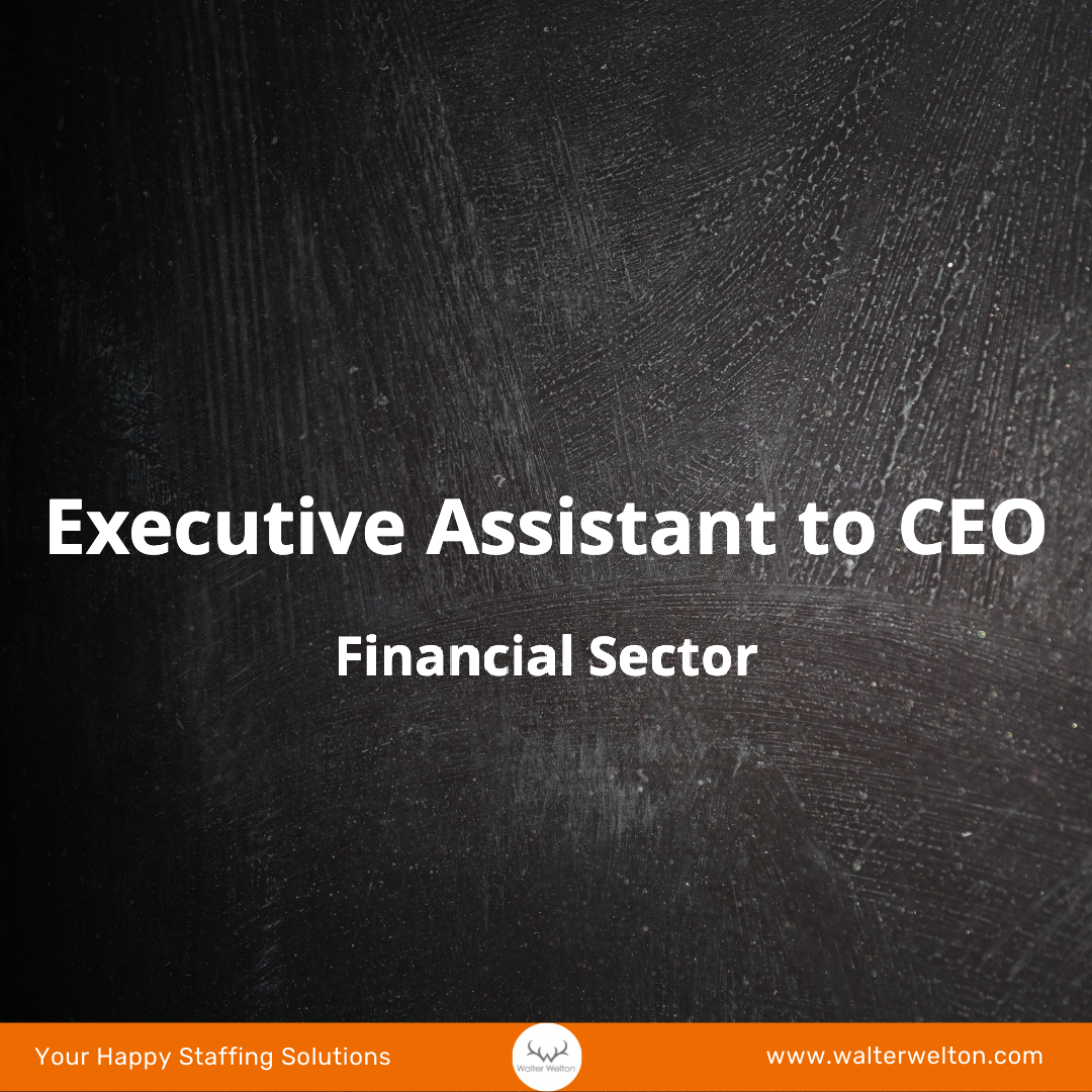 Executive Assistant to the CEO - Financial Sector